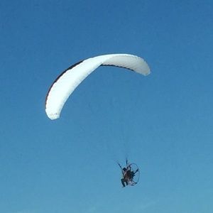 Meet your Posher, Mei